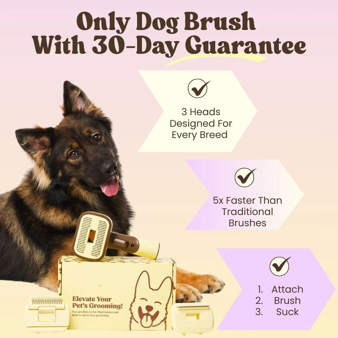 Shedly™ - 3-In-1 Vacuum Pet Brush