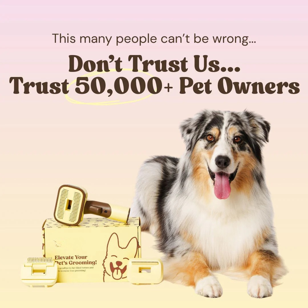 Shedly™ - 3-In-1 Vacuum Pet Brush