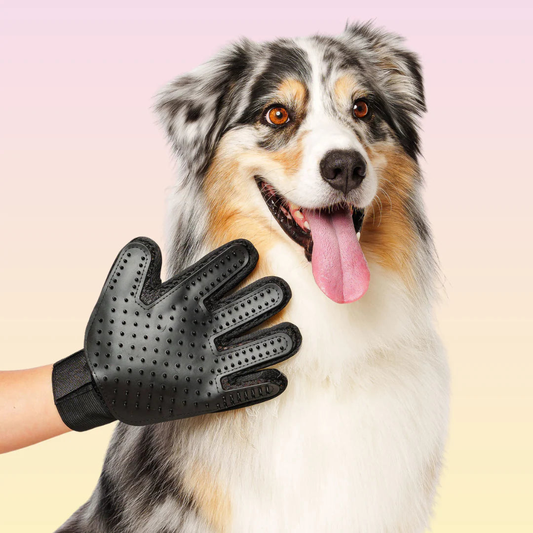 Fur-Remover Glove